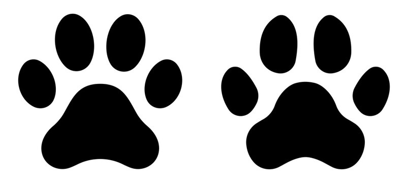 Paw print. Paw icon. Dog paw. Vector illustration.