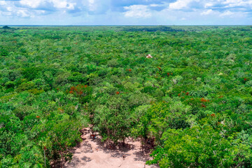 Fototapeta na wymiar Coba, Quintana Roo / Mexico - August 2018: View over the jungle from the top of the Ixmoja pyramid 