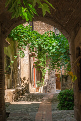 Fototapeta na wymiar borgo medioevale