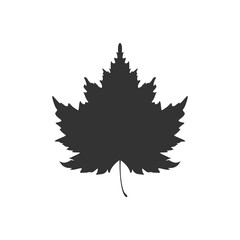 Autumn icon. Flat icon autumn leaves. Vector illustration