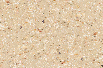 Golden beach sand with small shell fragments background