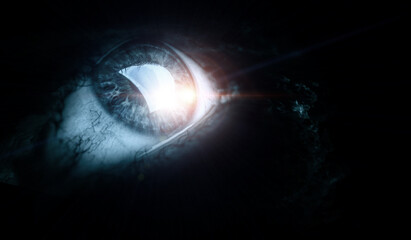 Macro image of human eye