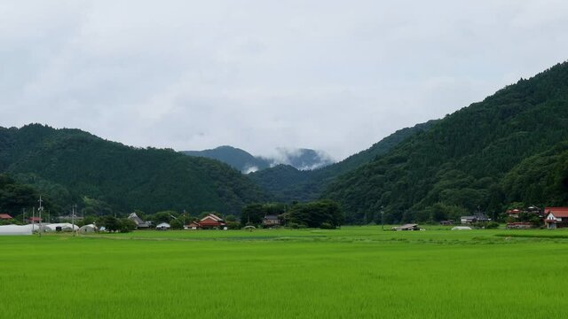 梅雨の時期の農村風景