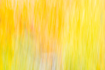 abstract   background  in blur autumn creative concept various lines, waves, diagonals, glow, autumn colors, Banner, backdrop