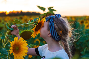 Cute girl in white t-shirt smelling sunflower in the field on the sunset. Child with long blonde...