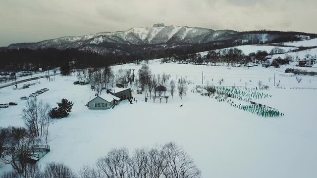 Aerial view of snow farm in winter  Toyako   Hokkaido  Japan