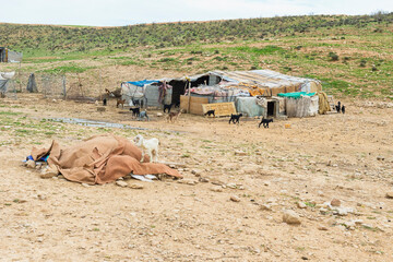 Qashqai nomad camp, Fars Province, Iran