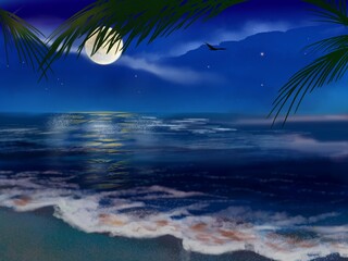 calm night time ocean and palm trees