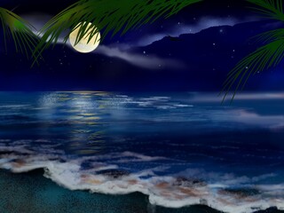 calm night time  ocean and palm trees
