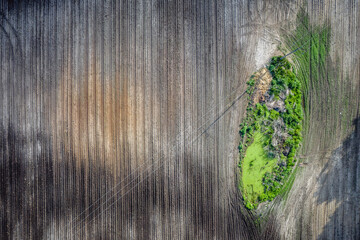 Drone view of a green small pond on plowed field area in Mazowsze region of Poland