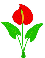 Anthurium Belize esempio per logo illustrazione emblema quadretto tovaglia tovaglioli telo mare carta assorbente