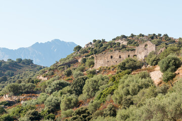 Fototapeta na wymiar Ruine dans le maquis Corse