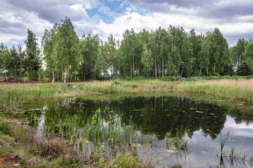 Small pond on pasturaland in Mazowsze region of Poland