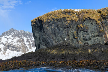 Cooper Bay landscape, South Georgia, South Georgia and the Sandwich Islands, Antarctica