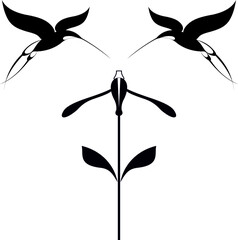 Birds and flower black on white illustration. Original decorative hummingbirds and flower illustration for design
