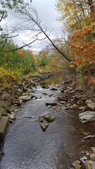 river in autumn