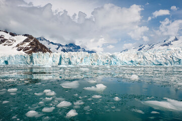 Molkte Bay, Snow covered mountains, South Georgia © MC Photos