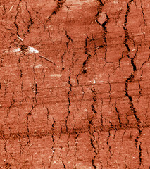 Cracked red soil on the nature.