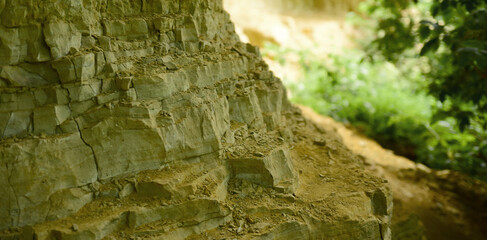 a cross section of Devonian land