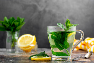 Mint tea with fresh mint leaves in glass cup, alternative medicine concept, healthy hot drink.
