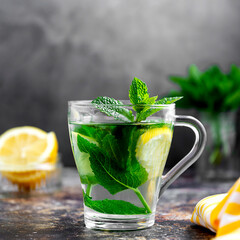 Mint tea with fresh mint leaves in glass cup, alternative medicine concept, healthy hot drink.