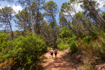 Fototapeta na wymiar Group of young adventurers on their backs with backpack walking while traveling for nature tourism on a path in the middle of the forest in the Cazorla Natural Park, in Spain. Selective focus.