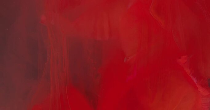 Beautiful red Gladiolus in water, gives aroma, in red paint pouring. Macro. 