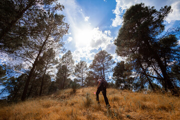 Young adventurer on his back with backpack walking while traveling on offroad nature tourism in the middle of the forest in the Cazorla Natural Park, in Spain. Selective focus.