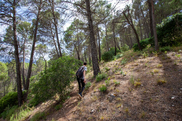 Young adventurer on his back with backpack walking while traveling on offroad nature tourism in the middle of the forest in the Cazorla Natural Park, in Spain. Selective focus.