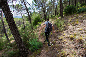 Young adventurer on his back with backpack walking while traveling on offroad nature tourism in the middle of the forest in the Cazorla Natural Park, in Spain. Selective focus.