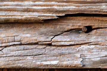 Obraz premium Distressed wood planks of an abandoned barn with brown cracked wood texture and a rusty nail close up ~WEATHERED~