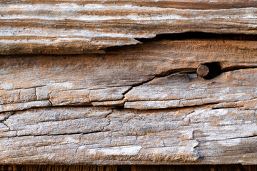 Distressed wood planks of an abandoned barn with brown cracked wood texture and a rusty nail close up ~WEATHERED~
