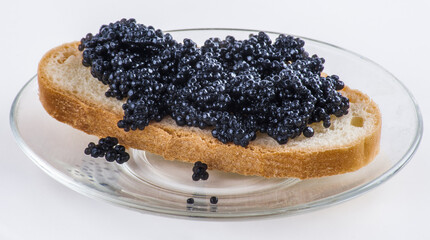 Sandwich with black caviar fish on saucer on white background