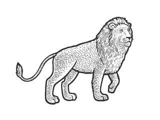 Walking lion sketch raster illustration