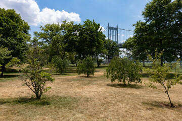 Dry Grass and Trees with the Triborough Bridge in the background during Summer at Randalls and Wards Islands in New York City