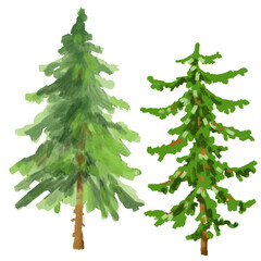 Pine trees icon, clipping path included, illustration