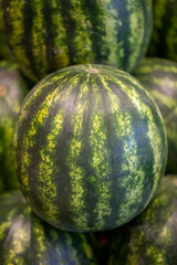 watermelon ready for sale at the counter