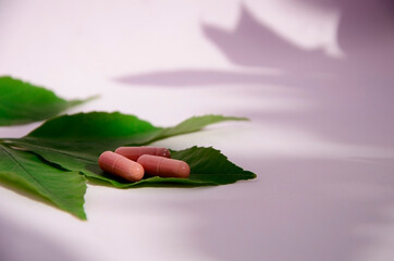 Three red capsules on a green leaf on a pink background . The shadow of the leaves.