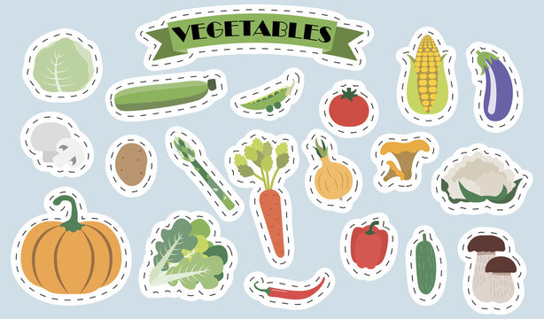 Set of flat vector mushrooms and vegetables. Bright stickers with the image of cute summer vegetable products in cartoon style. A set of isolated healthy food products. Illustrations for a grocery