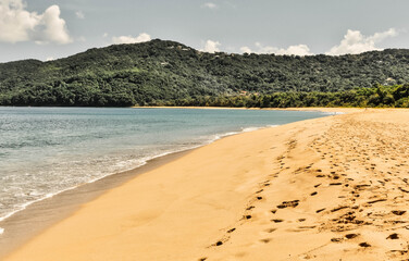 idyllic coastal beach scenery on a caribbean island named Guadeloupe
