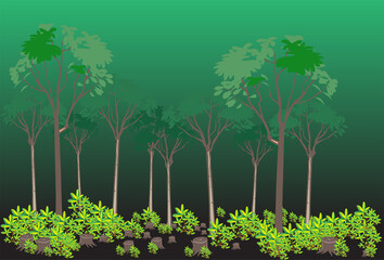 Fototapeta premium save tree save forest concept,deforestation background.