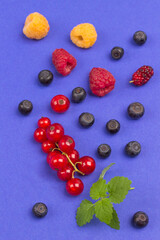 Still life of multi-colored berries on purple background. Red currants, raspberries red and yellow, blueberries, green mint.