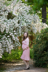 Pregnant woman in the apple orchard is holding tummy and apple blossoming branch