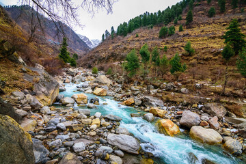 A flowing river with rocks on its way and by the sides. Mountain and pine trees visible in the background
