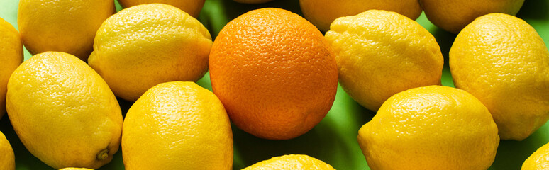 fresh ripe yellow lemons and orange on green background, panoramic crop