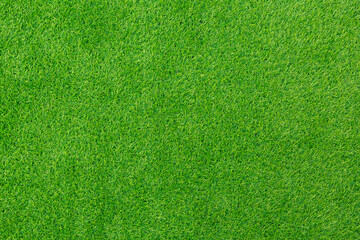 Plakat Natural background and texture. Artificial evergreen lawn grass. Flat lay
