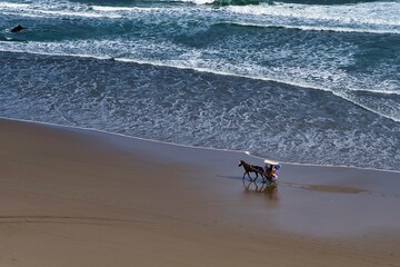 horse cart on the beach