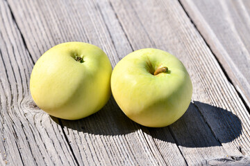 Closeup on fresh and recently picked yellow apples placed on wooden board