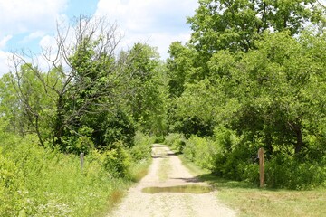 The long empty gravel road in the country on a sunny day.