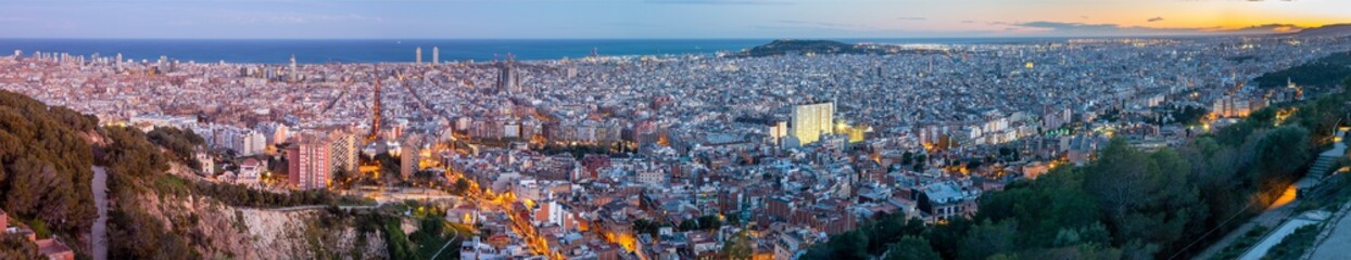 Obraz na płótnie Canvas Barcelona - The panorama of the city with the at the dusk.